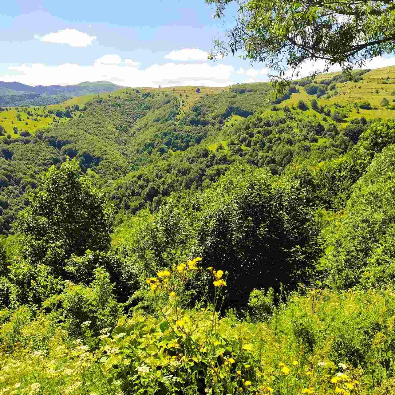 Holiday Home Vila Bjelašnica Εξωτερικό φωτογραφία